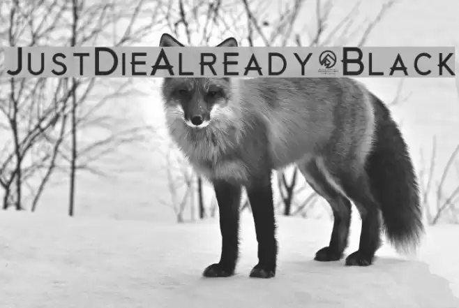 JustDieAlready-Black Font examples