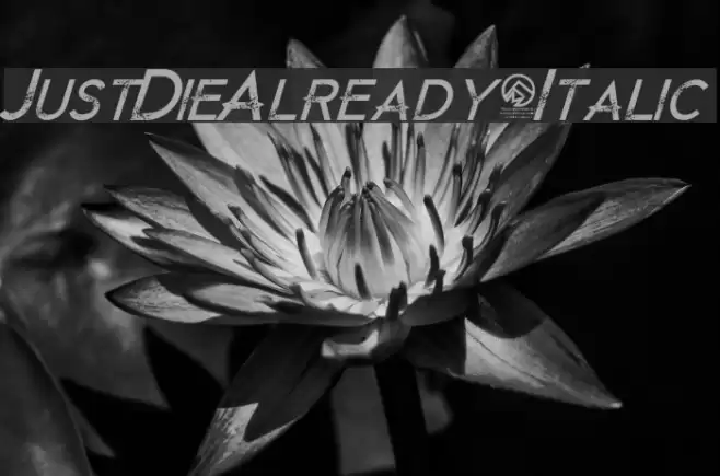 JustDieAlready-Italic Font examples