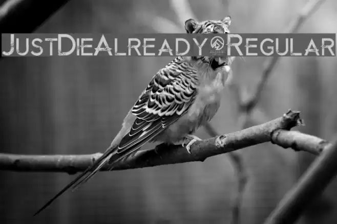 JustDieAlready-Regular Font examples