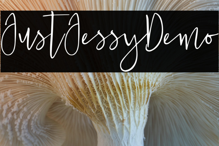 JustJessyDemo Example 2