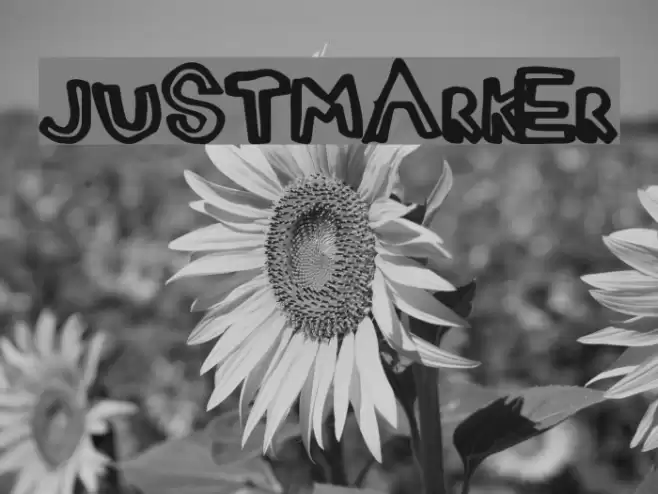 JustMarker Font examples