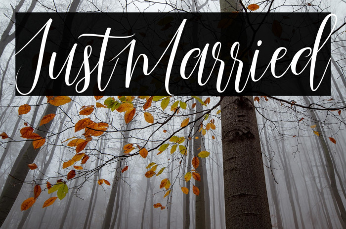 JustMarried Example 1