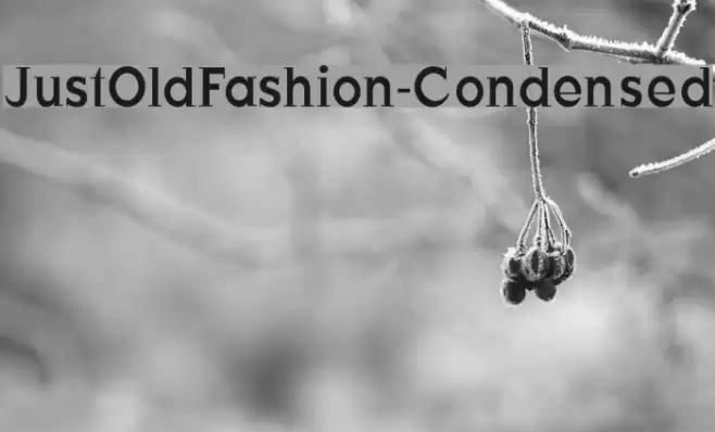 JustOldFashion-Condensed Font examples