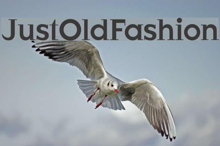 JustOldFashion Font examples