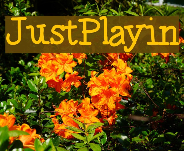 JustPlayin Example 3