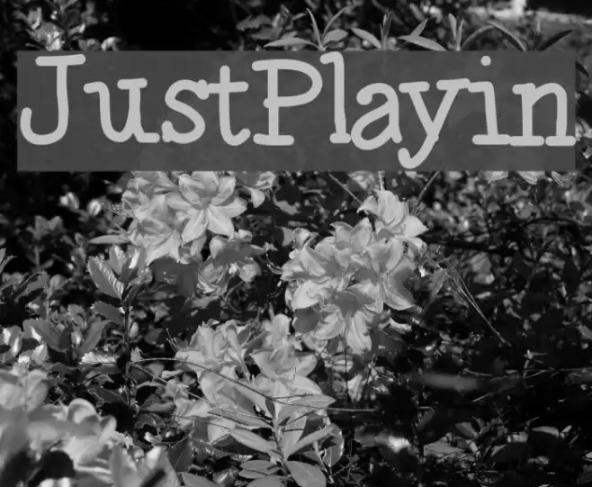 JustPlayin Font examples