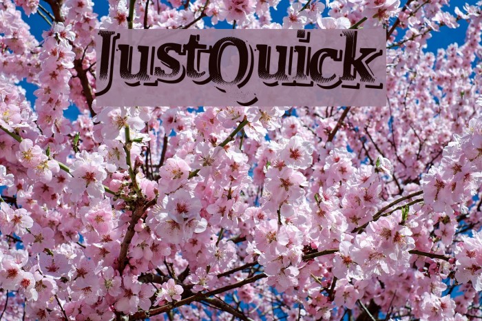 JustQuick Polices examples