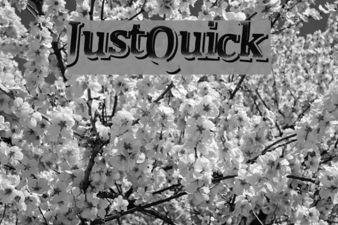 JustQuick Font examples