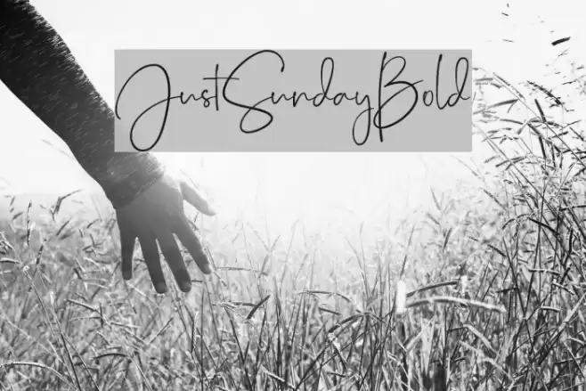 JustSunday-Bold Font examples