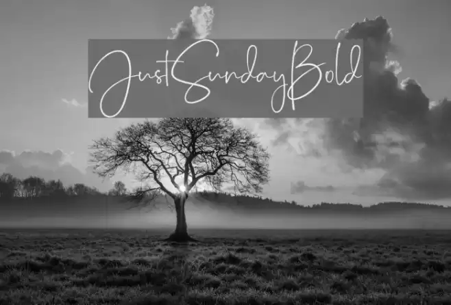JustSunday-Bold Font examples