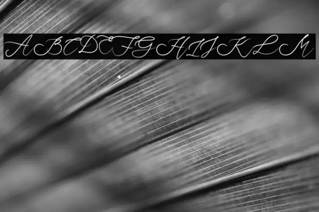 JustSunday Font examples