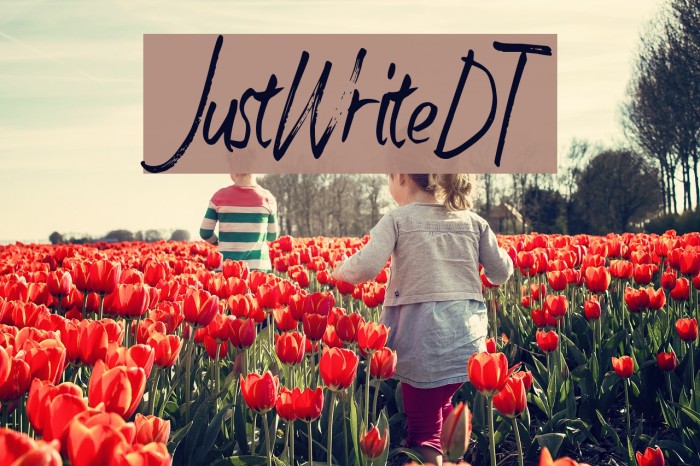 JustWriteDT Font examples