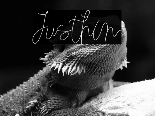 Justhin Font examples