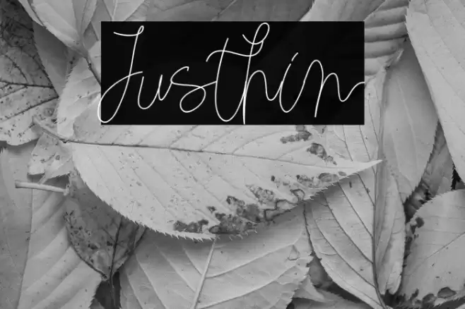 Justhin Font examples