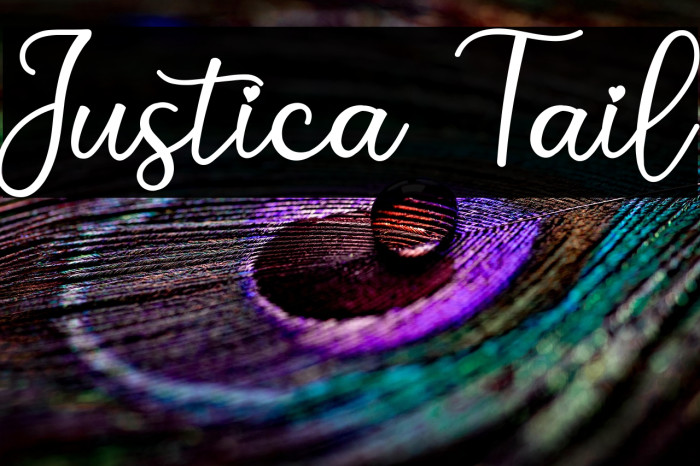 Justica Tail Example 2