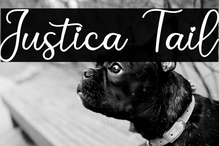 Justica Tail Example 3