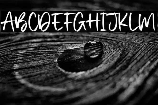 Justica Шрифта examples