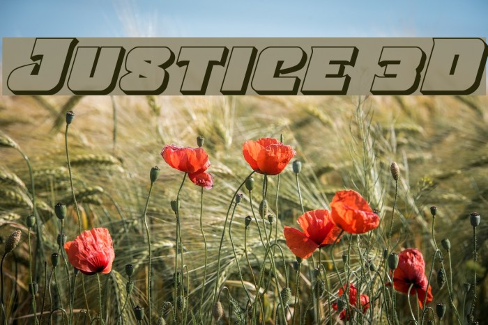 Justice 3D Example 1