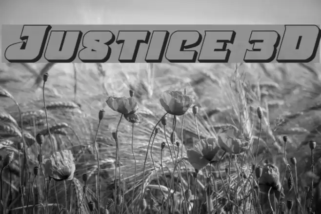Justice 3D Font examples