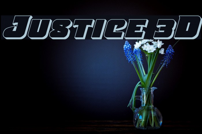 Justice 3D Example 3