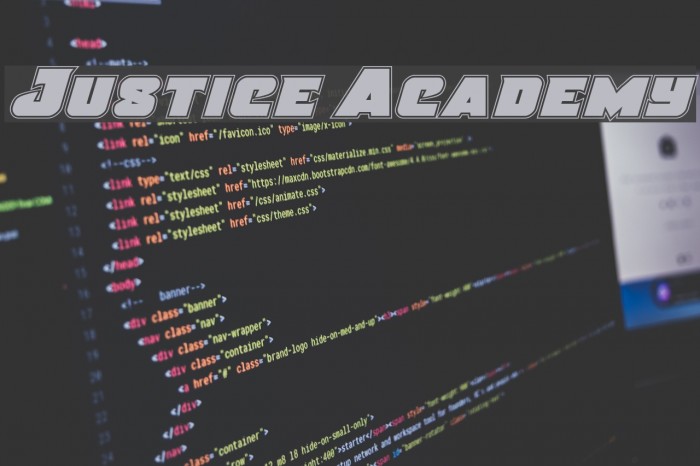 Justice Academy Example 1