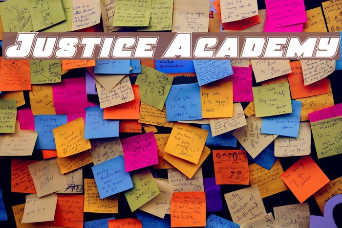 Justice Academy Example 2