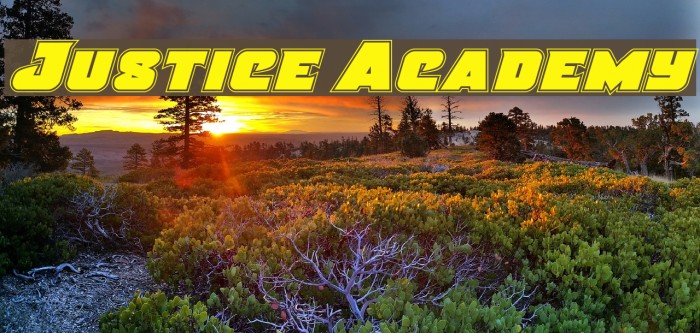 Justice Academy Example 3