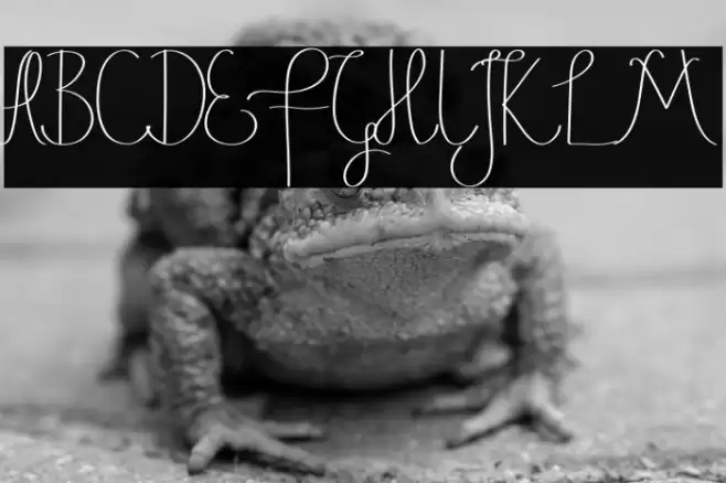 Justice Action Demo Script Font examples