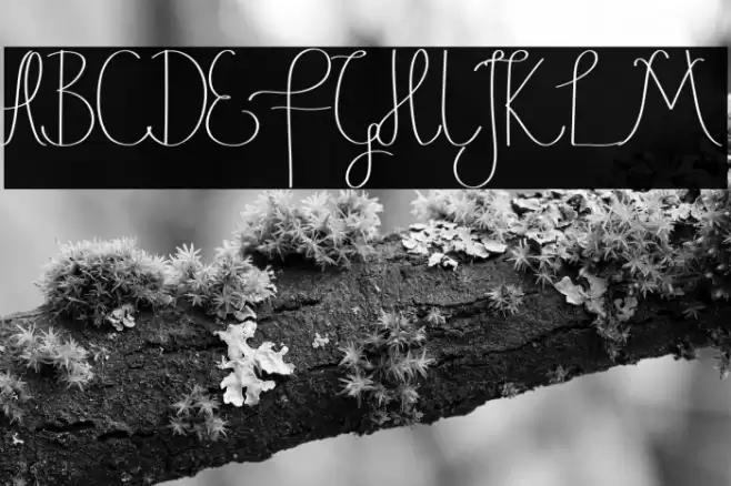 Justice Action Demo Script Font examples