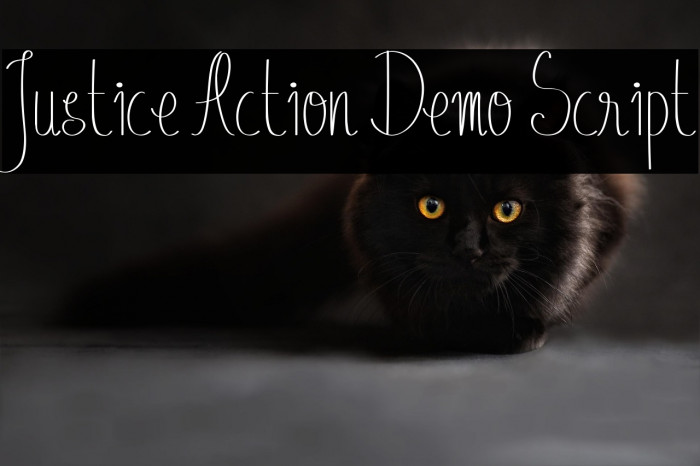 Justice Action Demo Script Example 1