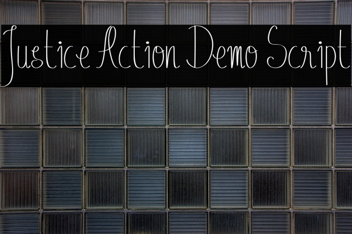 Justice Action Demo Script Example 2