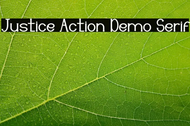 Justice Action Demo Serif Example 1