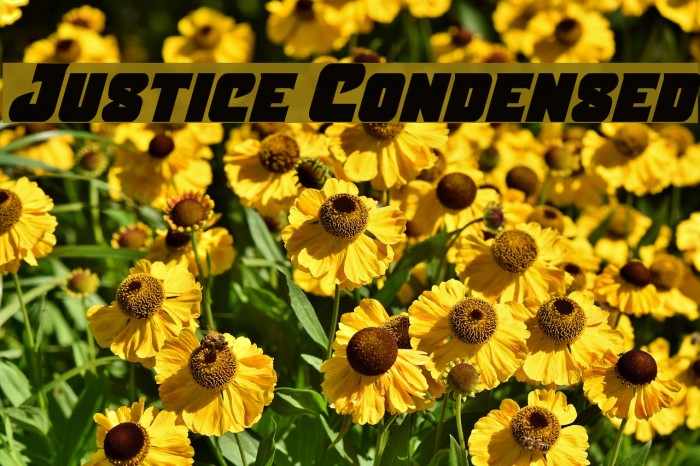 Justice Condensed Font examples