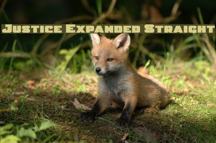 Justice Expanded Straight Font examples