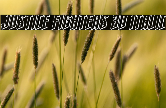 Justice Fighters 3D Italic Example 1