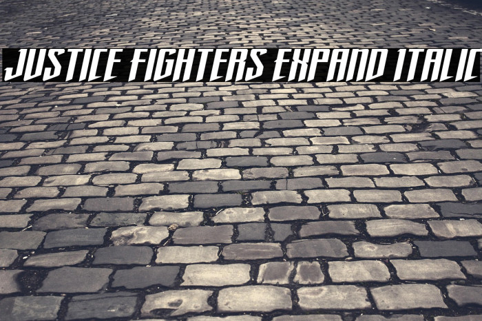 Justice Fighters Expand Italic Example 2