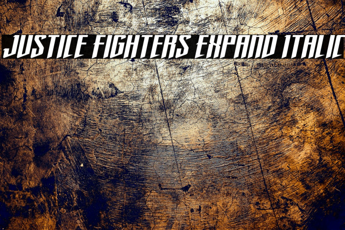 Justice Fighters Expand Italic Example 3
