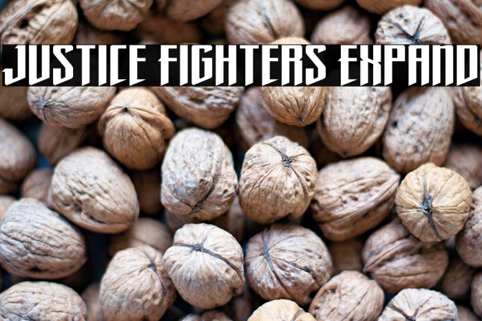 Justice Fighters Expand Example 1
