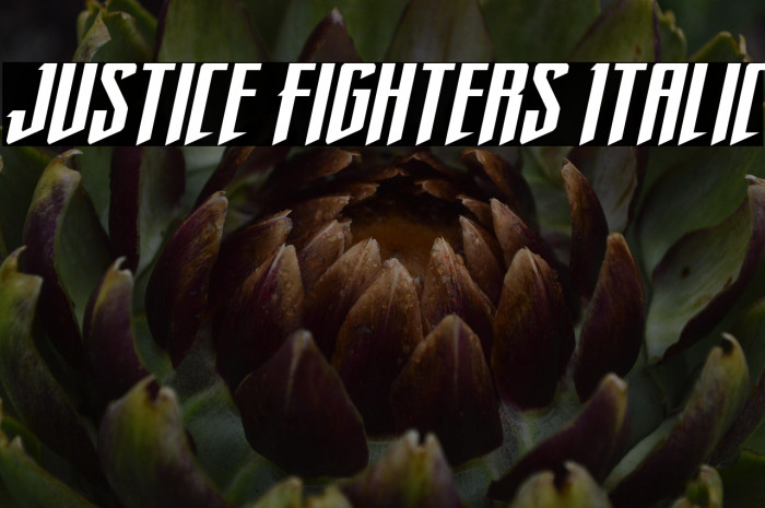 Justice Fighters Italic Example 1