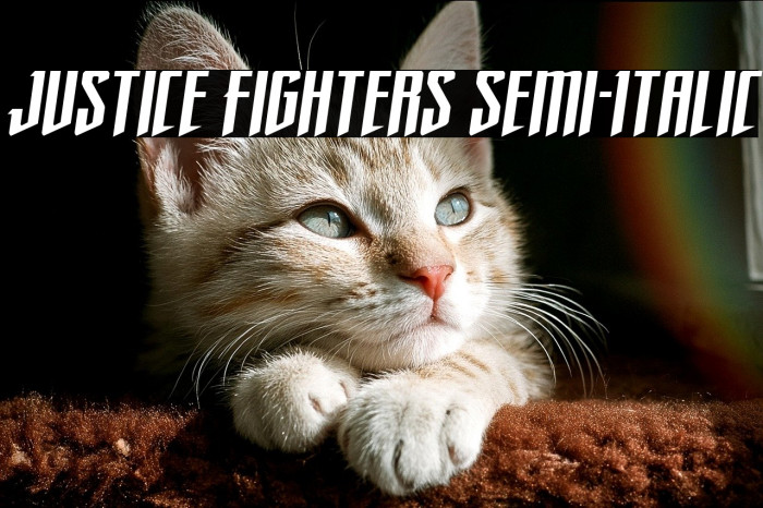 Justice Fighters Semi-Italic Example 3