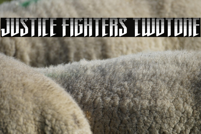 Justice Fighters Twotone Example 1