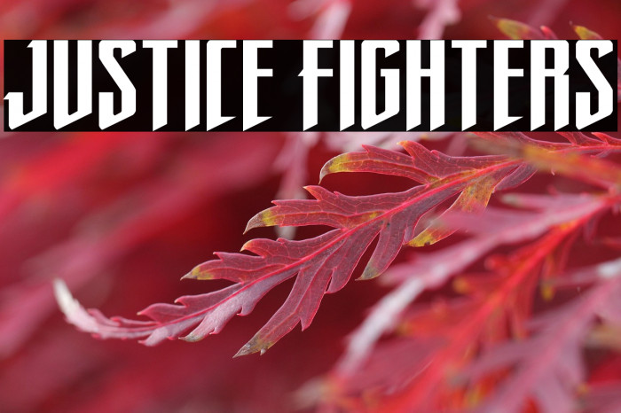 Justice Fighters Example 1