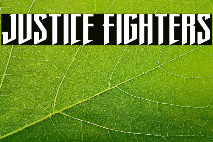 Justice Fighters Example 2