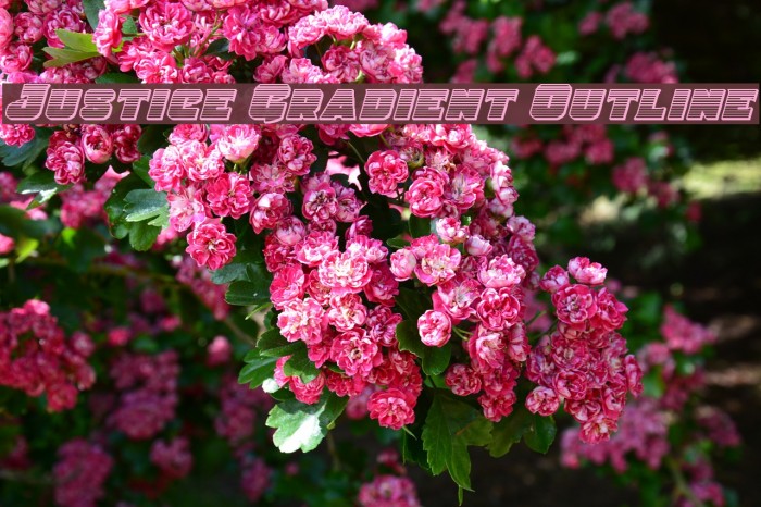 Justice Gradient Outline Example 2