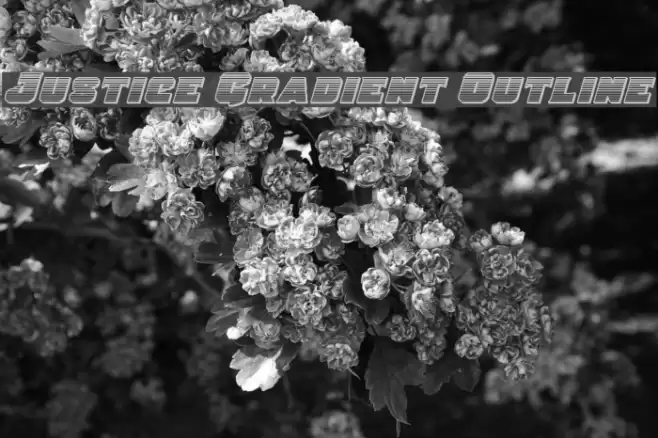 Justice Gradient Outline Font examples