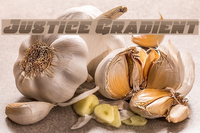 Justice Gradient Font examples