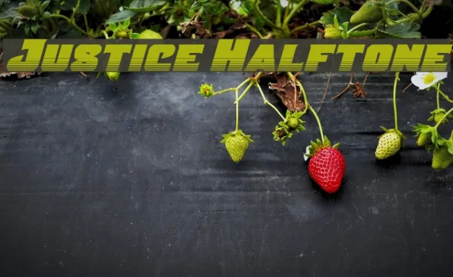 Justice Halftone Example 2