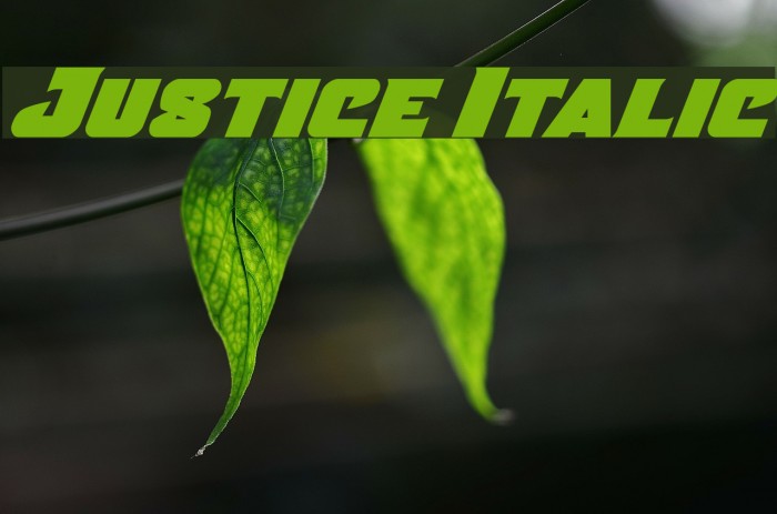 Justice Italic Example 1