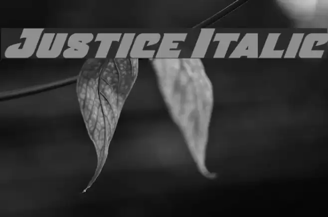 Justice Italic Font examples