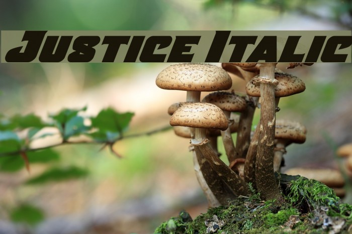 Justice Italic Example 3